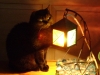 Schwarze Hauskatze bei der Lichttherapie