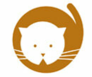 Newsletterservice von Katzenbetreuung.at